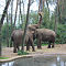Burgers-Zoo-2014-10-02-0014.jpg