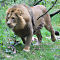 Burgers-Zoo-2014-10-02-0520.jpg