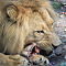 Burgers-Zoo-2014-10-02-0527.jpg