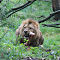 Burgers-Zoo-2014-10-02-0592.jpg