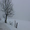 Schnee-Sauerland-2015-02-09-0003.jpg