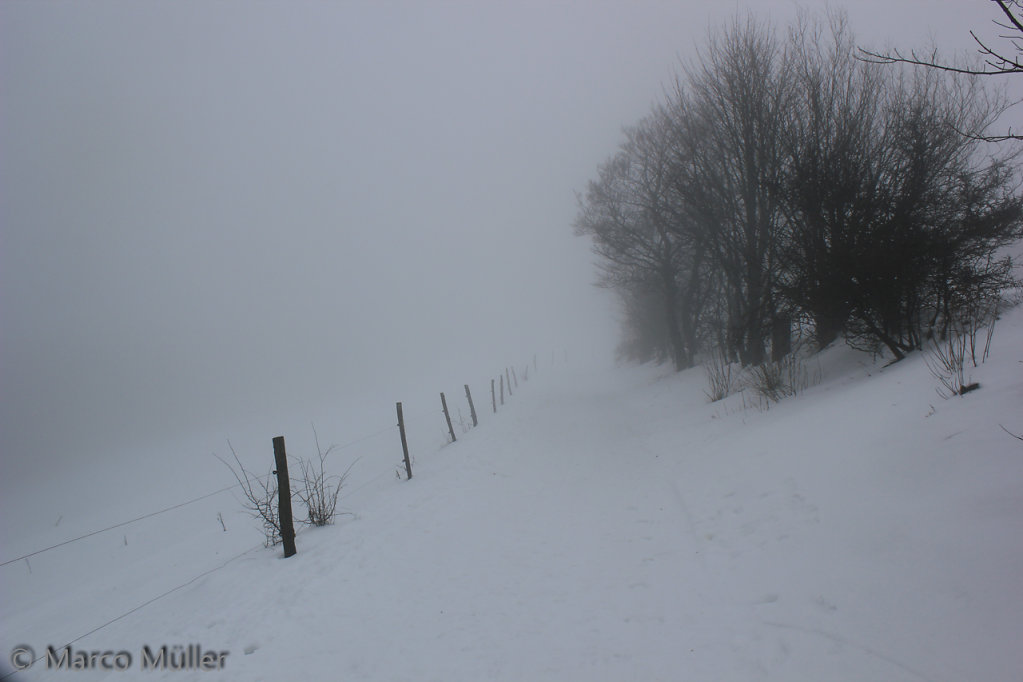 Schnee-Sauerland-2015-02-09-0035.jpg